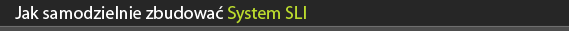 Jak samodzielnie zbudowa System SLI